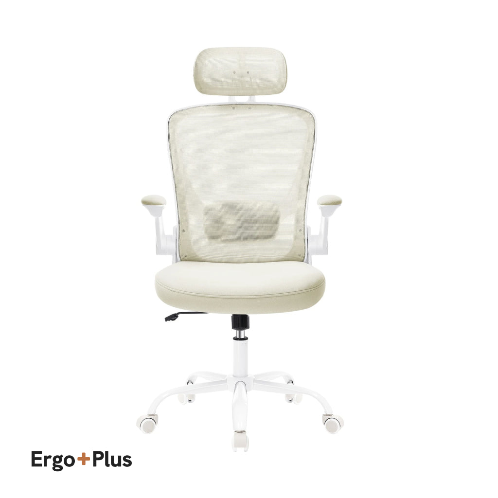 Ergo Plus Ergonomic Mesh Office Chair - T2 Limited Edition