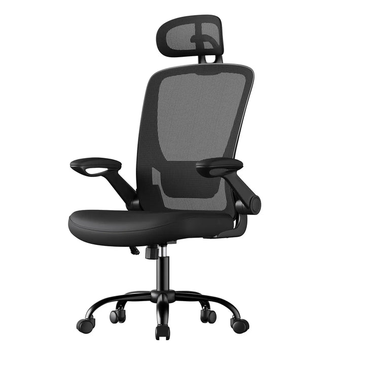 Ergo Plus Ergonomic Mesh Office Chair - T2 Limited Edition (Black)