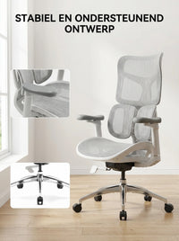 Ergo Plus Dora Pro Mesh Chair