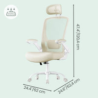 Ergo Plus Ergonomic Mesh Office Chair - T2 Limited Edition