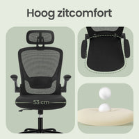 Ergo Plus Ergonomic Mesh Office Chair - T2 Limited Edition (Black)