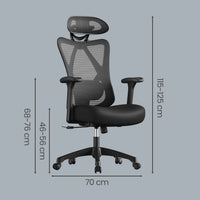 Ergo Plus Ergonomic Mesh Office Chair Max – Black