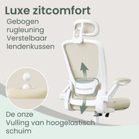 Ergo Plus Ergonomic Mesh Office Chair - T2 Limited Edition