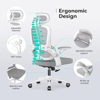 Ergo Plus M102 Mesh Chair detail