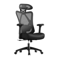 Ergo Plus Ergonomic Mesh Office Chair Max - Black