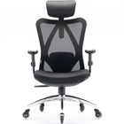 Sihoo M18 ergonomic office chair