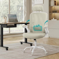 Ergo Plus Ergonomic Mesh Office Chair - T2 Limited Edition
