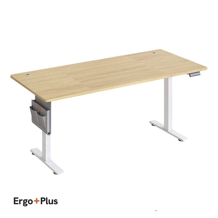 Ergo Plus Lite Electric Sit-Stand Desk 120×70