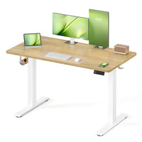 Ergo Plus Electric Sit-Stand Desk 100×60
