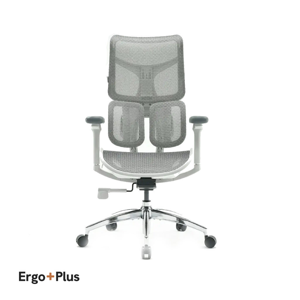 Ergo Plus Dora Pro Mesh Chair