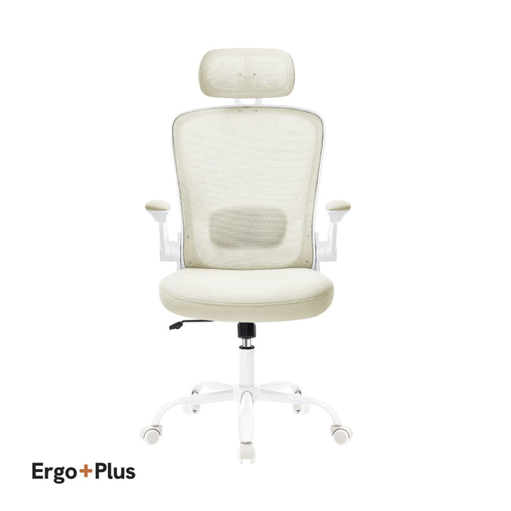 Ergo Plus Ergonomic Mesh Office Chair - T2 Limited Edition